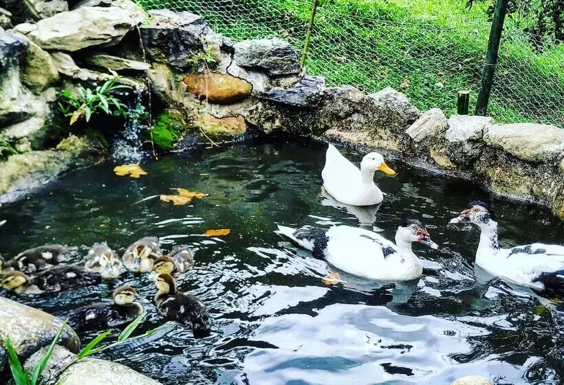 Duck House Hostel
