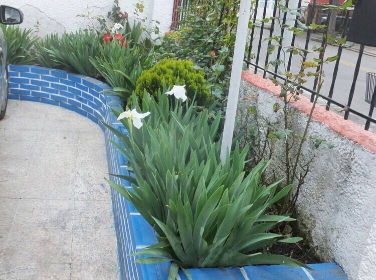 פונדק Casa Hotel Emanuel