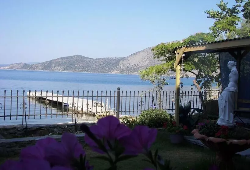 ホテル Blue Dreams