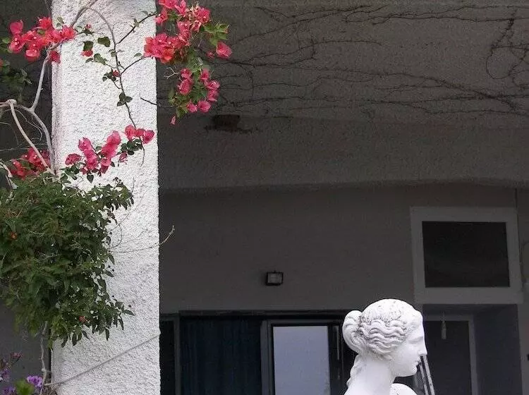 ホテル Blue Dreams