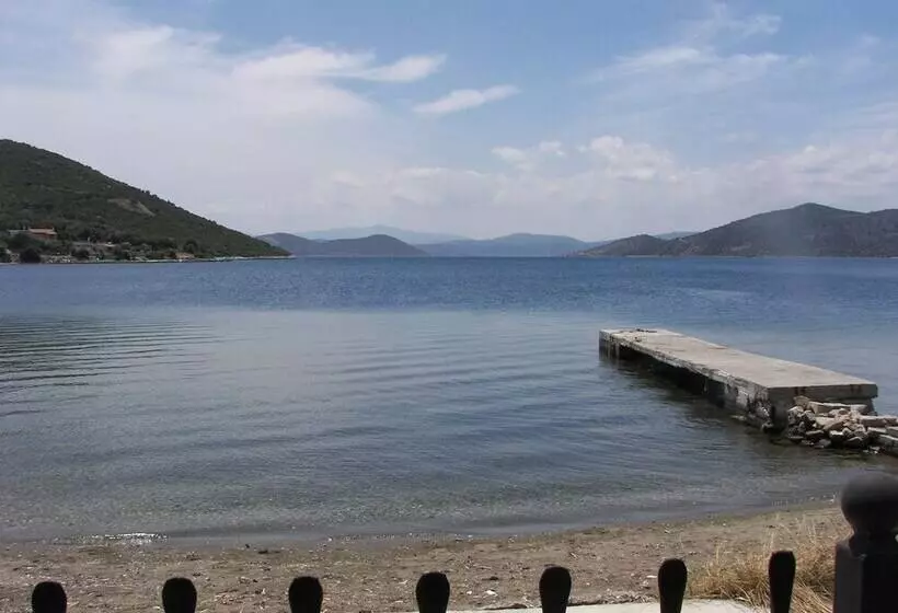 ホテル Blue Dreams