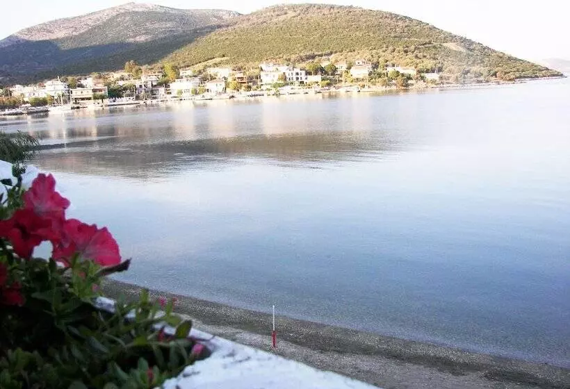 ホテル Blue Dreams