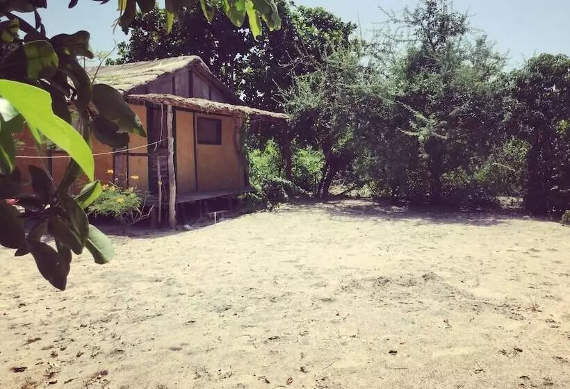 هتل Bonobo Lodge