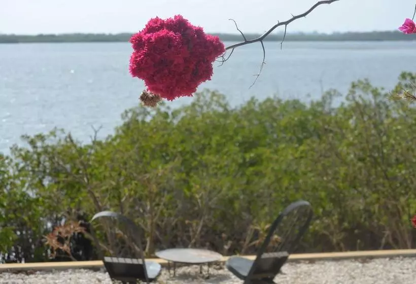 هتل Bonobo Lodge
