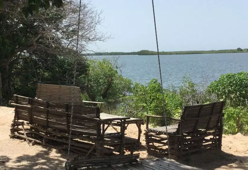 هتل Bonobo Lodge