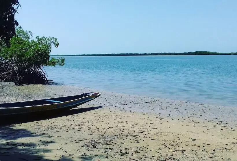 هتل Bonobo Lodge