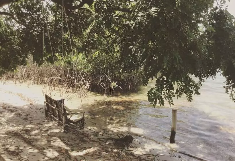 هتل Bonobo Lodge