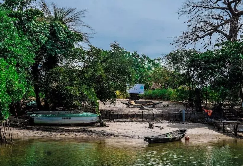 هتل Bonobo Lodge