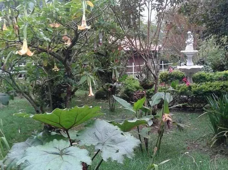 ホテル Eco Lodge Las Nubes