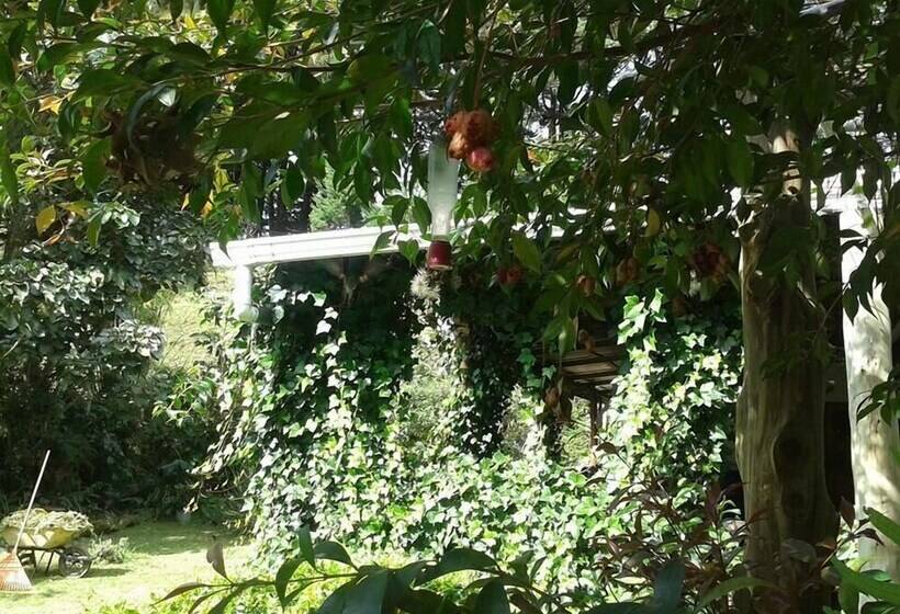 酒店 Eco Lodge Las Nubes