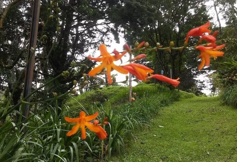 ホテル Eco Lodge Las Nubes