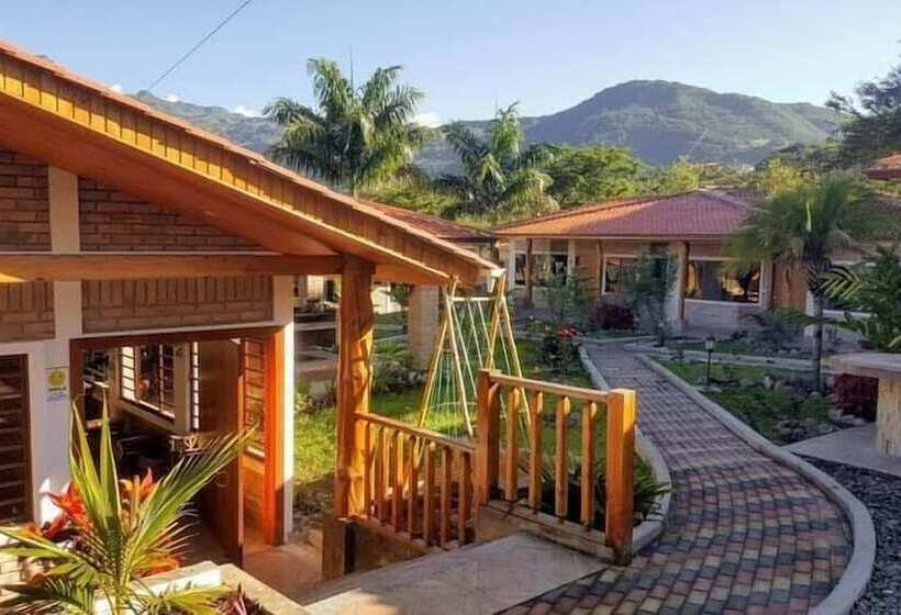 Hotel Live The Life And Toro Bar