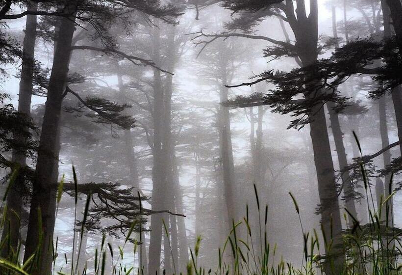 هتل Mountain View Cedars