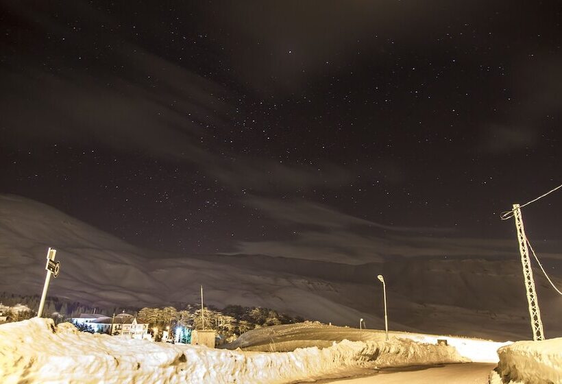 هتل Mountain View Cedars