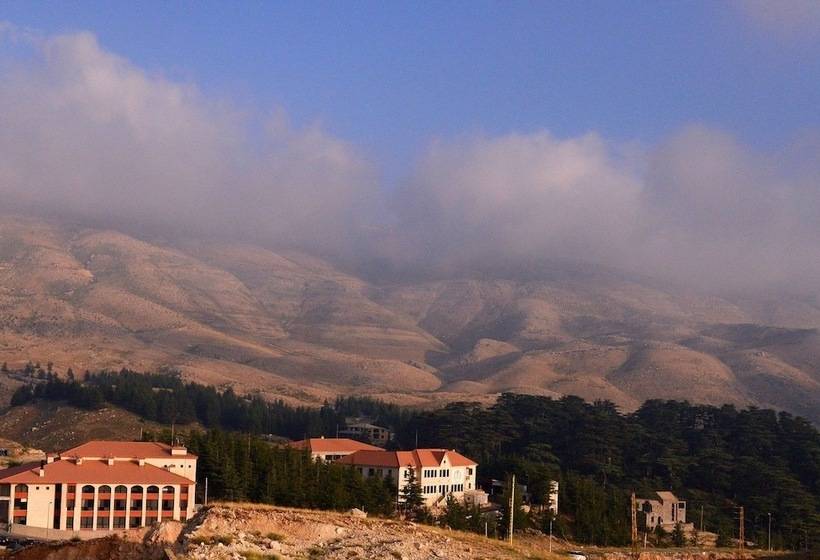 هتل Mountain View Cedars