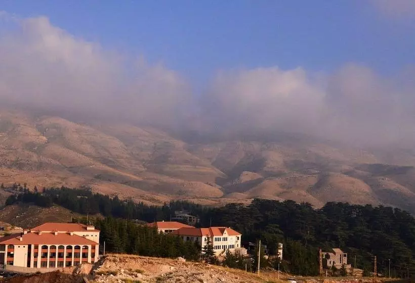 هتل Mountain View Cedars