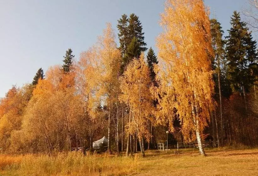 Hotelli Pansionat Parus