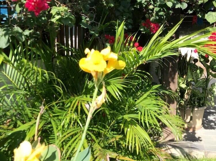 בית מלון כפרי Pousada Millenium