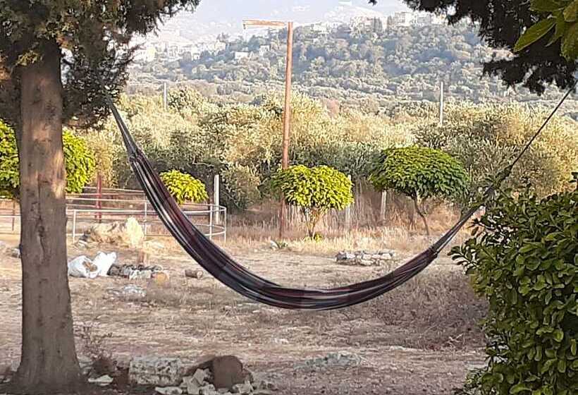 هتل The Ranch   Lodge & Equestrian Center