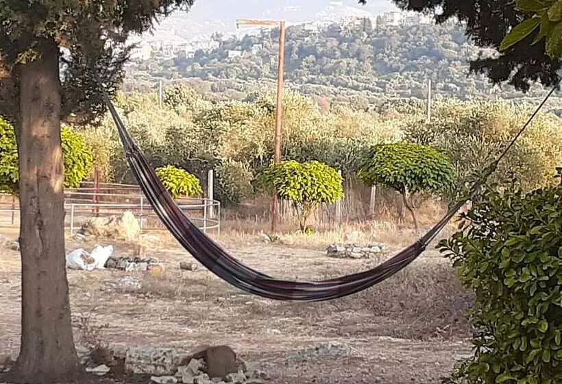 هتل The Ranch   Lodge & Equestrian Center