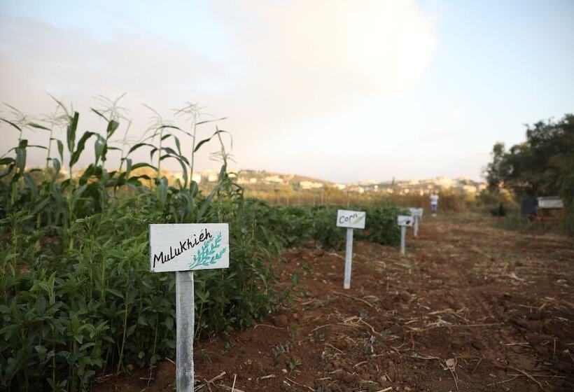 هتل The Ranch   Lodge & Equestrian Center