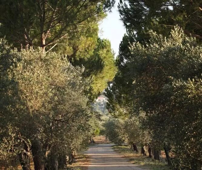 هتل The Ranch   Lodge & Equestrian Center