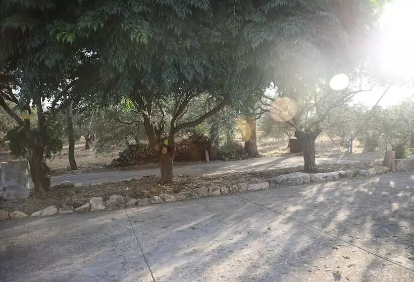 هتل The Ranch   Lodge & Equestrian Center