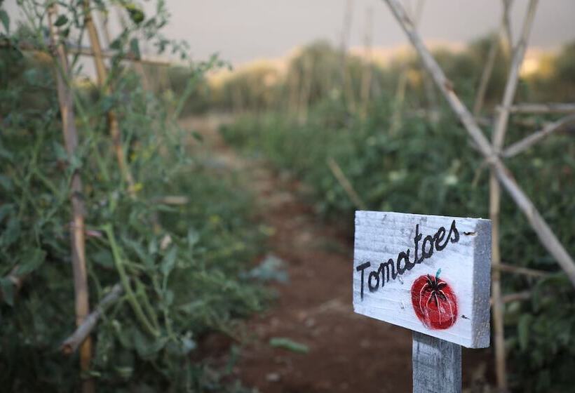 هتل The Ranch   Lodge & Equestrian Center