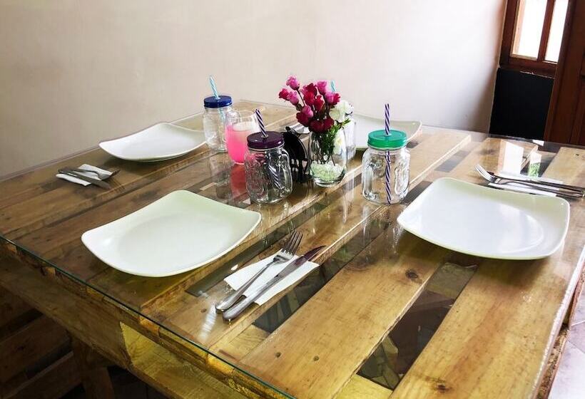 La Vie En Rose Maison   Hostel