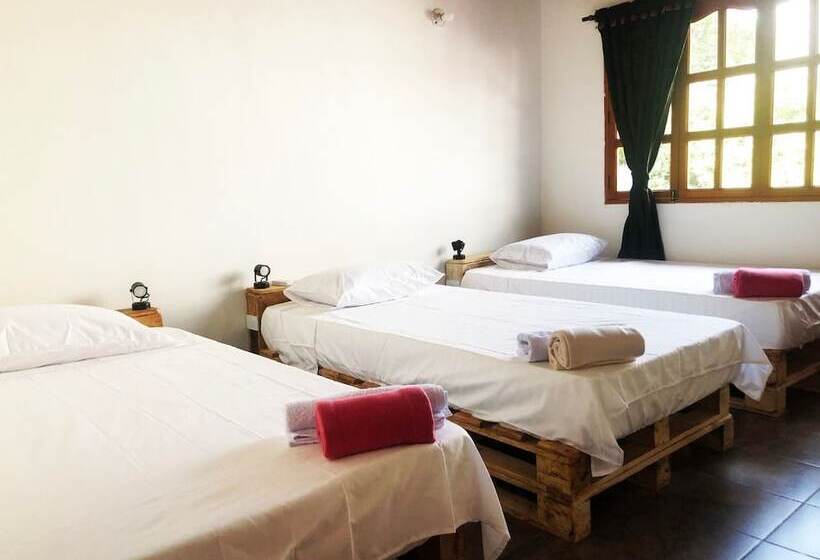 La Vie En Rose Maison   Hostel