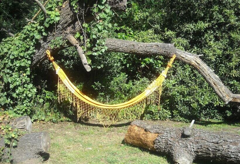 膳宿费 Cabañas Las Lavandas En Pilar