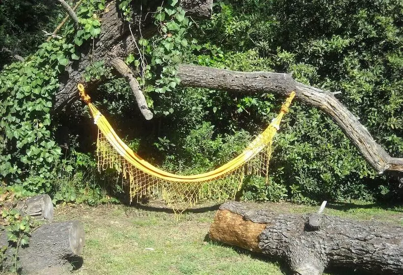 Majatalo Cabañas Las Lavandas En Pilar