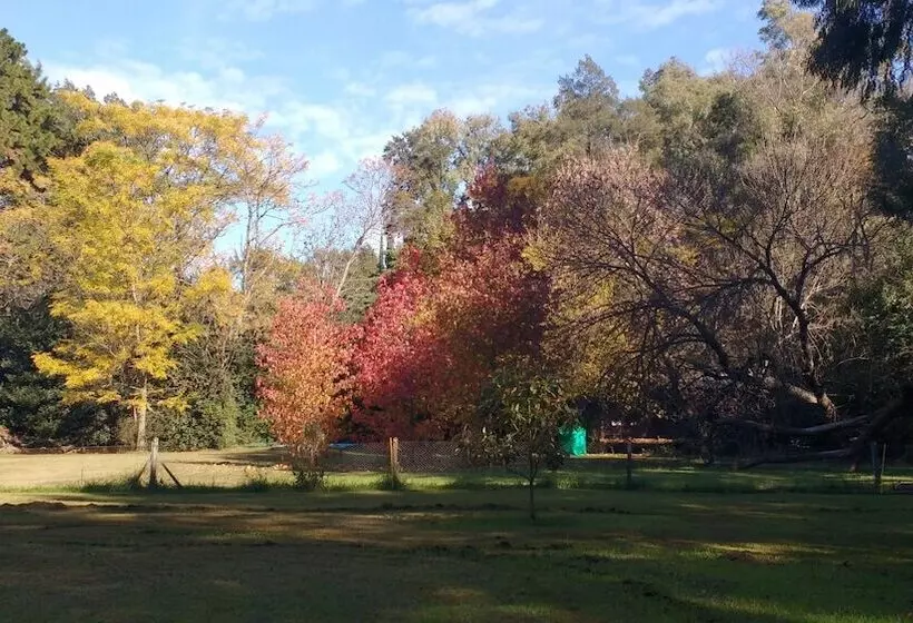 Majatalo Cabañas Las Lavandas En Pilar