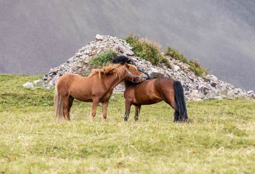 پانسیون Lysuholl