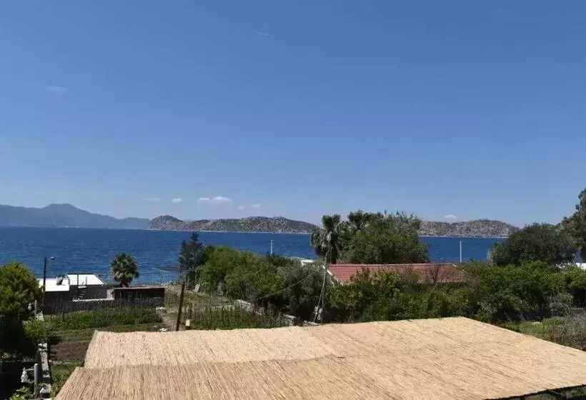 Rotam Sogut Pansiyon