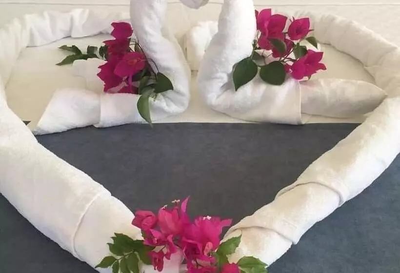 Rotam Sogut Pansiyon