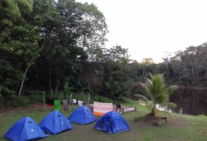 هاستل Jungle Reps