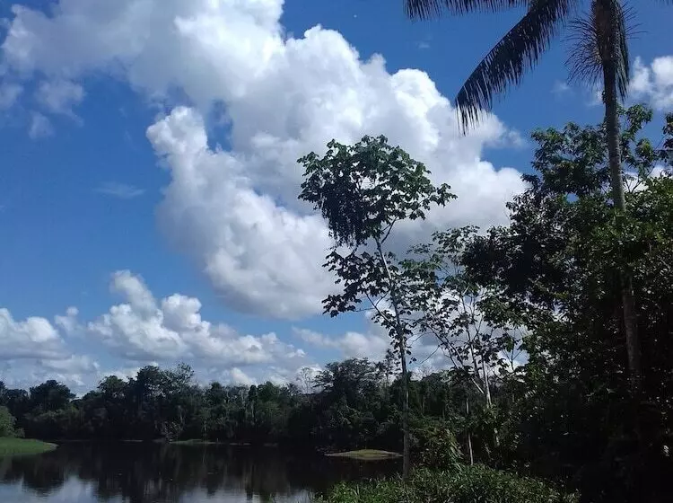 هاستل Jungle Reps