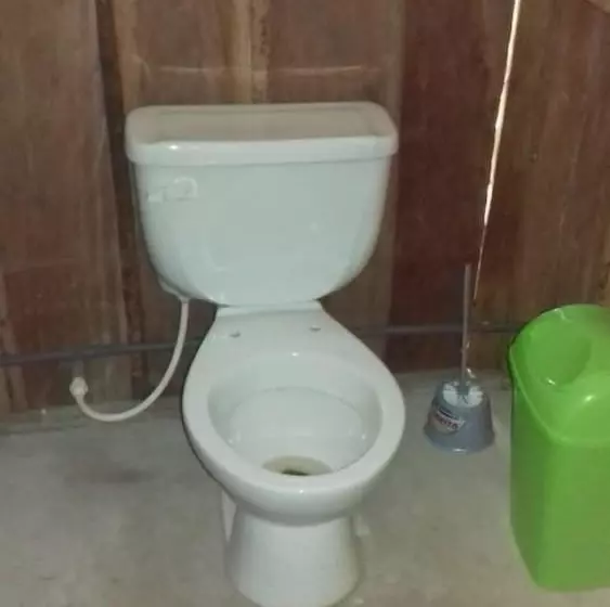 هاستل Jungle Reps