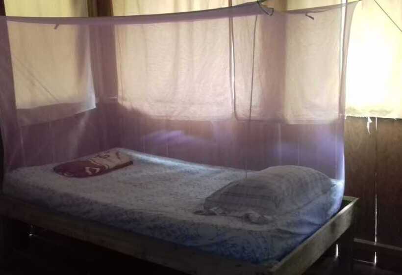 호스텔 Jungle Reps