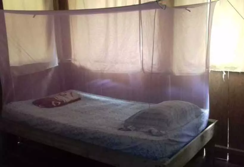 هاستل Jungle Reps