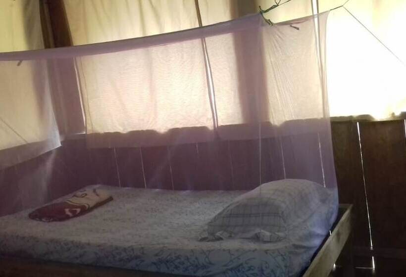 호스텔 Jungle Reps