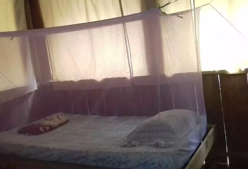 هاستل Jungle Reps