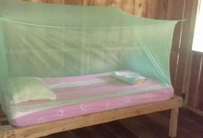 هاستل Jungle Reps