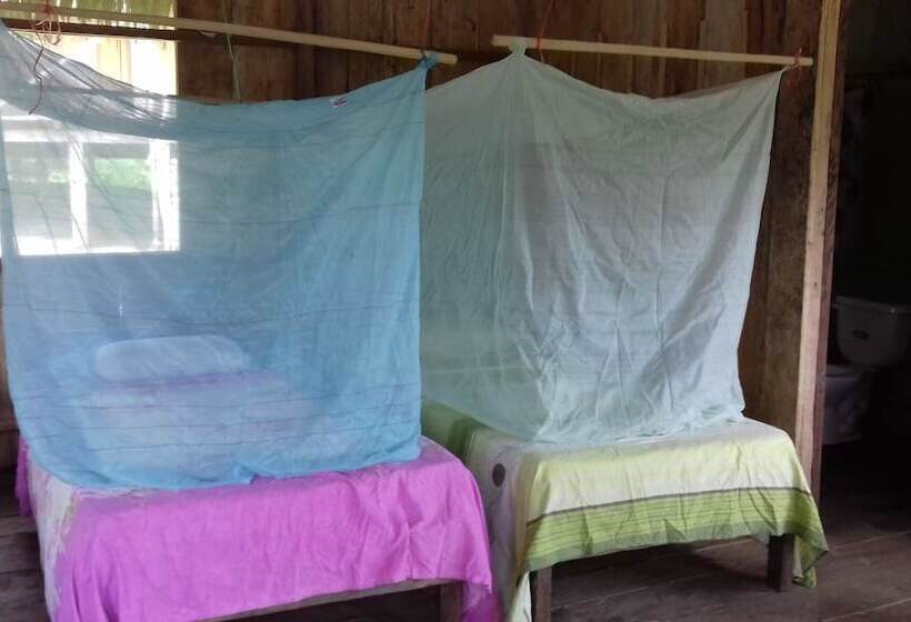 호스텔 Jungle Reps