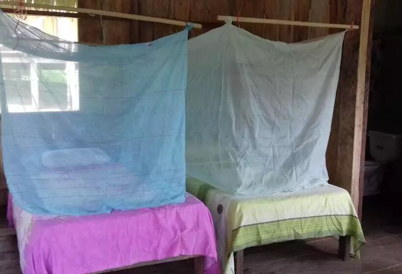 هاستل Jungle Reps