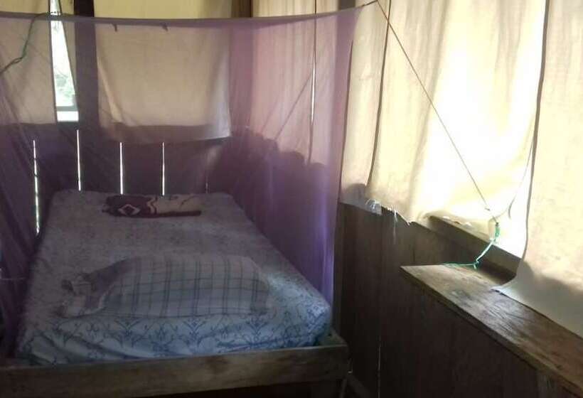 호스텔 Jungle Reps