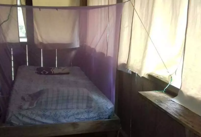 هاستل Jungle Reps