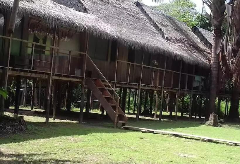 هاستل Jungle Reps