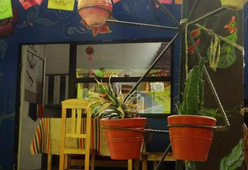 هاستل Pacha Qori Backpackers